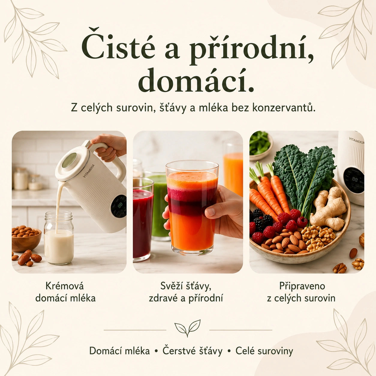 VitaMixia – Multifunkční přístroj 8v1 pro přípravu rostlinného mléka, džusů a mnoho dalšího.